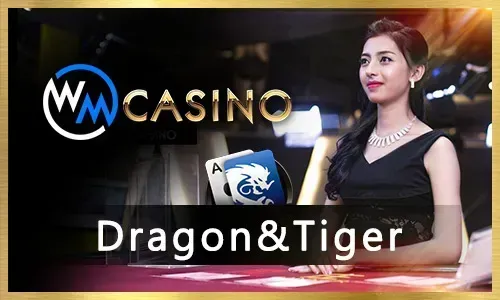 Latest Login Entry